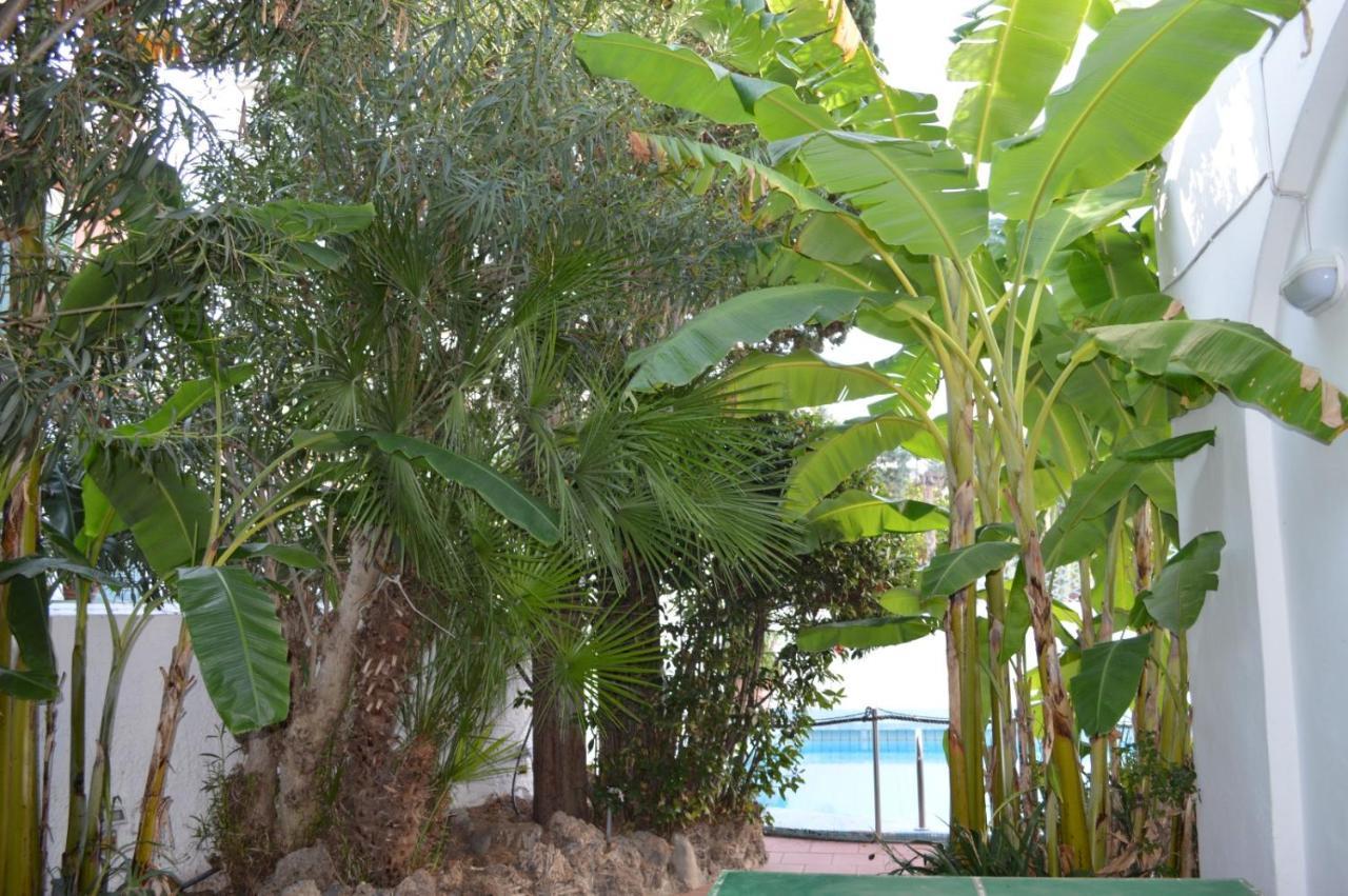 Il Kent Apartment Ischia Ngoại thất bức ảnh